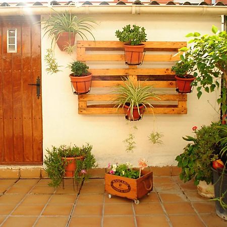 Habitacion Con Patio En Piso Compartido 카펠라데스 외부 사진