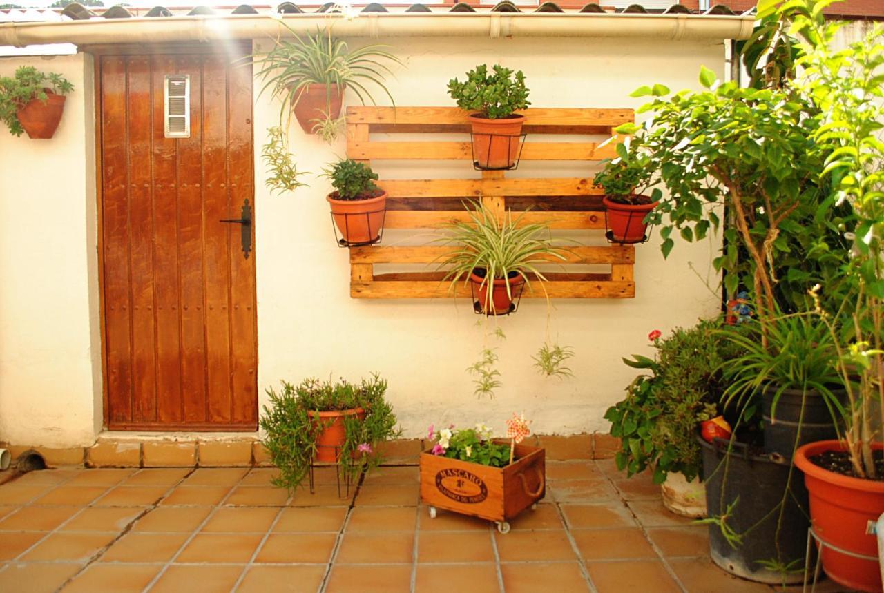 Habitacion Con Patio En Piso Compartido 카펠라데스 외부 사진